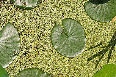 万代南梦宫宣布所有《高达创坏者4》预购用户免费升级